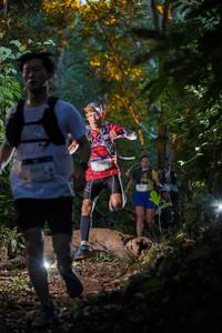 BIB: 22132, 2017
                            <button type="button" onclick="openModal(19231207)" class="btn btn-primary btn-sm float-right btn-popup" data-toggle="modal" data-target=".modal-high-quality">
                        <i class="fas fa-shopping-cart"></i> Add to Cart
                    </button>
                                            <button type="button" onclick="isThisMe(19231207, true)" class="btn btn-success btn-sm float-right btn-popup btn-isme hidden" data-toggle="tooltip" data-placement="bottom" title="นี่คือรูปของคุณใช่ไหม คลิกที่นี่เพื่อเอาเข้าอัลบั้ม">
                        <i class="fas fa-plus"></i> Add to album
                    </button>
                    <button type="button" onclick="isThisMe(19231207, false)" class="btn btn-warning btn-sm float-right btn-popup btn-isnotme hidden">
                        <i class="fas fa-ban"></i> Remove from album
                    </button>